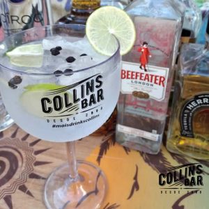 Gin Tônica